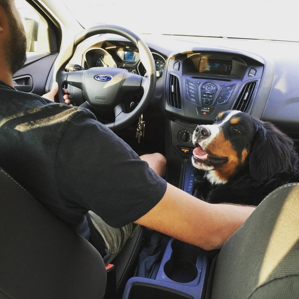 Meet your Posher, Shazyy